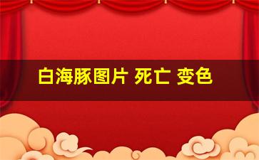 白海豚图片 死亡 变色